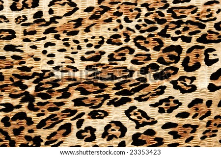 animals wallpaper african safari tigers. Sumatran Tiger Wallpaper