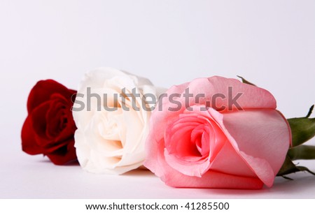 Red Pink And White Roses. Red, Pink and White.