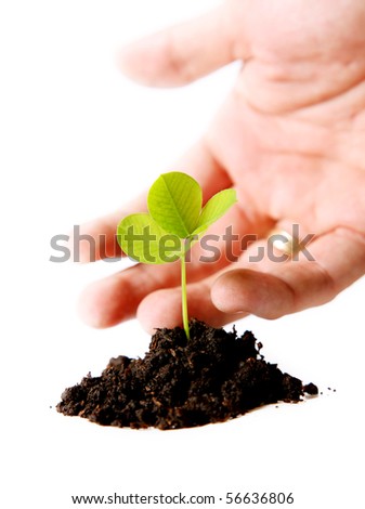 Hand protecting a small plant sown in the soil. White Background, Concepts: nature and protection