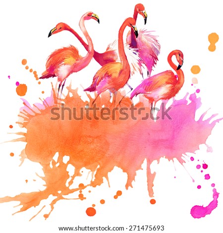 Tropical bird and abstract hand drawn watercolor blot background