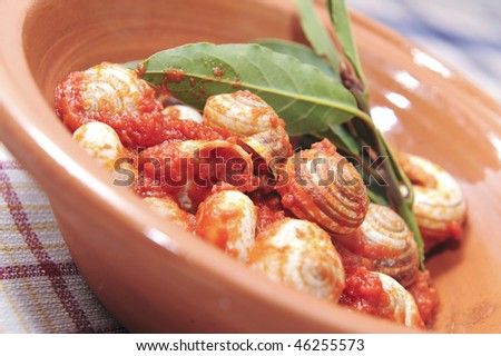 Home made italian cuisine, a dish of snails served in a farm holidays