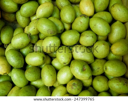 Veralu is a tropical fruit. It is an ornamental medium sized tree indigenous to Sri Lanka, producing smooth, ovoid green fruits. The fruit has nutritive and medicinal values.