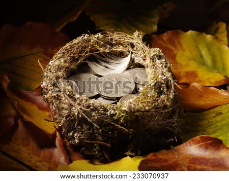 Bird\'s nest filled with American currency with an autumn leave background