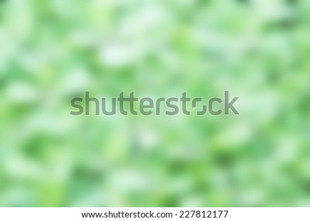 Defocused green plants for peaceful background