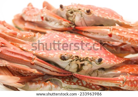 Fresh and steamed crabs with sweet meat and delicious for seafood dish