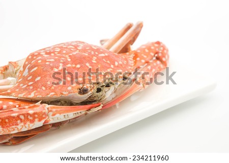 Close up of fresh steamed crab for seafood meal on white background