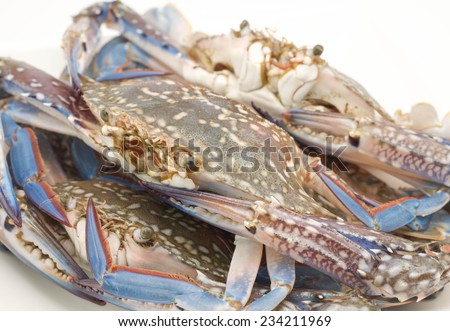 Raw and fresh of uncooked crabs for seafood meal with delicious taste on white background