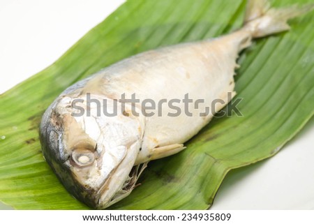 Fresh mackerel or tuna steamed fish on banana green leaf from sea on white background