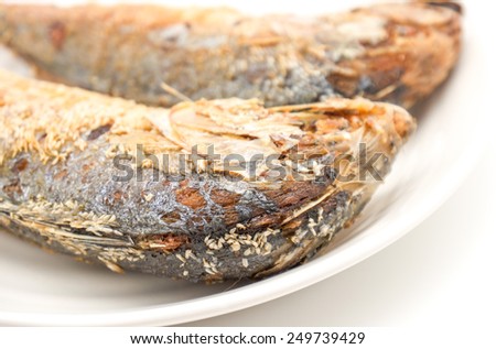 Close up deep fried tuna or mackerel fishes on white ceramic plate for food background