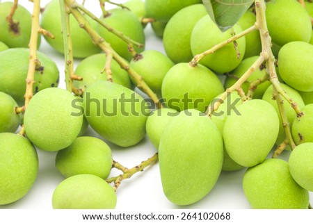 Isolated fresh and green mangoes with branches for sour taste on white background