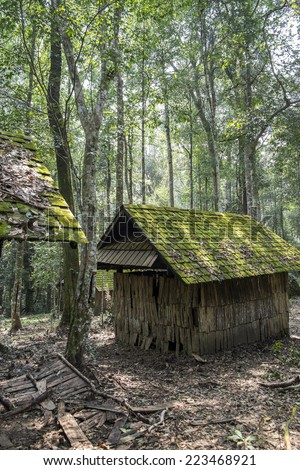 House in forest.