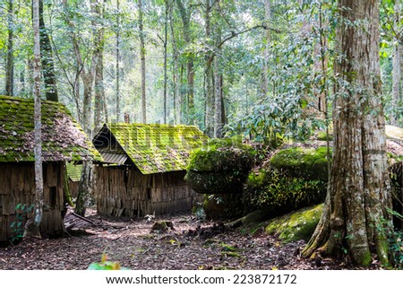 House in forest