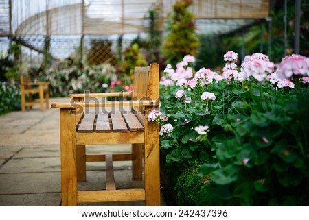 wooden bench in greenhouse of botanical garden