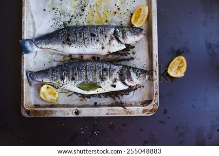 Delicious fresh two fish on dark vintage metal background.  Sea bass with aromatic herbs, spices, olive oil  and vegetables - healthy food, diet or cooking concept. See series.