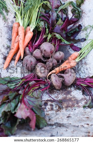 Fresh Vegetables over on vintage table. Beetroot and carrots. Top view