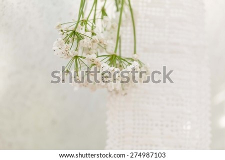 Abstract with gentle white blossoming wild flower with knitted cloth texture. Summer blurred background. Rustic style