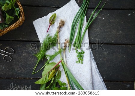 Healthy aromatic herbs for garden over on dark table with vintage linen napkin from above. Rustic style.