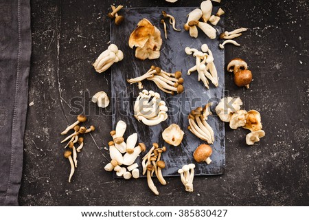 Mixed mushrooms. Shiitake, Composition of King trumpet mushroom (Eringi), Brown beech mushroom (Shimeji), Indian Oyster mushroom, Jew\'s ear Mushroom, Golden needle mushroom.
