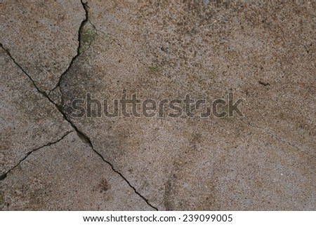 cracking line on the dirty cement floor