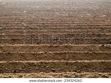 Soil Grooves Farming Earth soil grooves over field for crop planting on rural countryside farm lands.