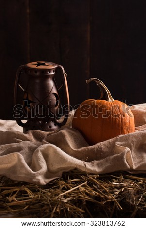 Peaceful Thanksgiving ,Fall Still Life with Mini Pumpkins