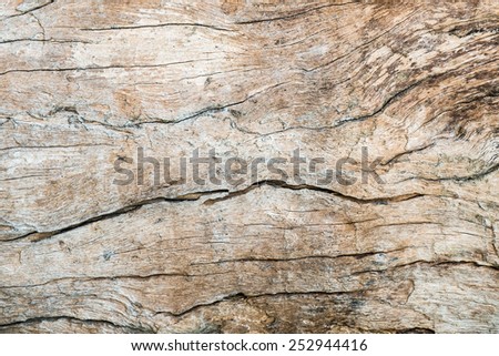 Old wood cracked texture background