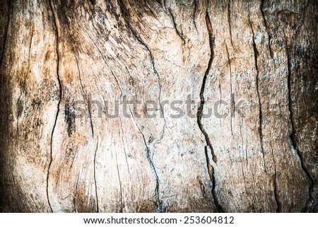 Grunge Old wood cracked texture background