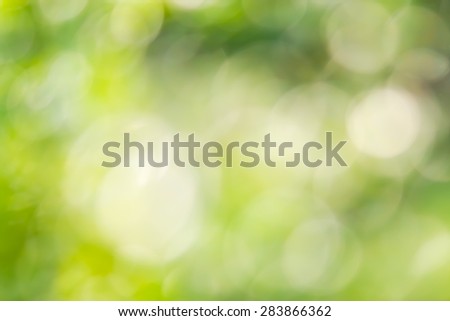 Abstract natural color background.Blurred bokeh.Natural Bokeh Background