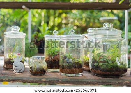 small and little plants decorate in glass bottle