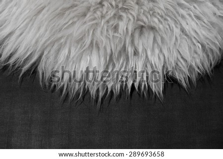 White fur texture on black fabric background