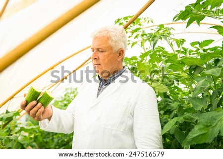 Plant Technologist