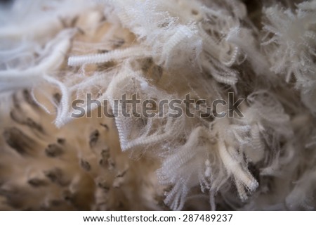 Merino wool, shallow depth of field