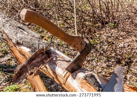 the cabin of the old dried-up tree in a garden by means of an axe and a saw