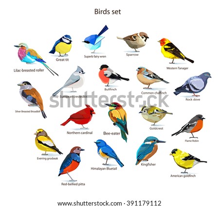 big set birds. birds flying, animals, bird silhouette, bird vector.Abstract art bird, Logo birds icon set vector illustration