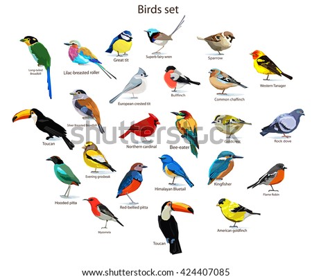 big set birds. birds flying, animals, bird silhouette, bird vector.Abstract art bird, Logo birds icon set vector illustration, set birds vector.