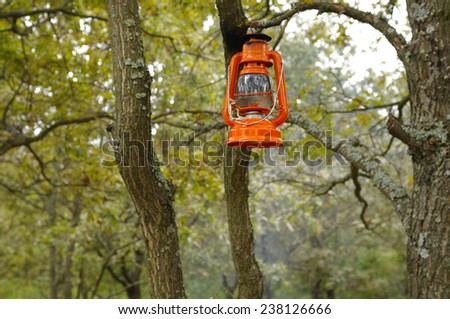 The bright orange oil lamp is suspended on a tree/ Orange oil lamp