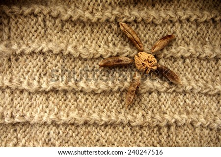 Date stones in the form of a flower on a knitted beige woolen cloth/Knitted cloth