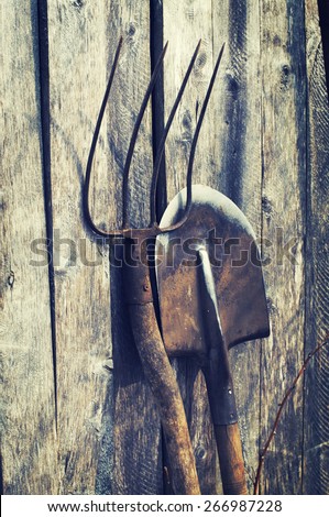Shovel and pitchfork on a wooden background. Old garden tools.