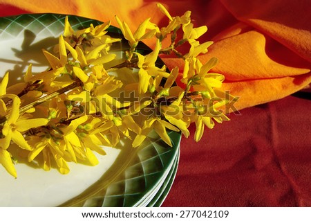 Pile of pure table plates and spring yellow flowers on a bright fabric background