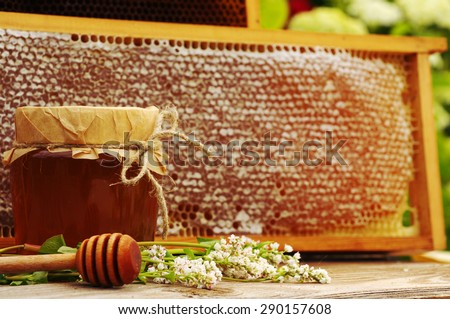 Honey in a glass jar with flowers of a buckwheat and bee honeycombs in a summer sunny day. Honey with flowers and honeycombs