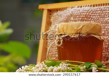 Honey in a glass jar with flowers of a buckwheat and bee honeycombs in a summer sunny day. Honey with flowers and honeycombs close up