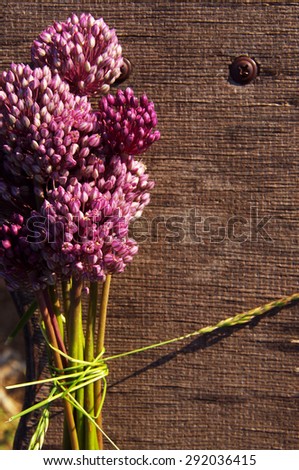 Wild onions on a textural wooden surface