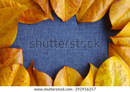 Frame from yellow leaves on a blue fabric background.