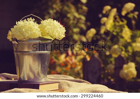 Flowers of a white hydrangea in a metal bucket with books on linen fabric. Still life with books and flowers in a summer sunny day in vintage tones