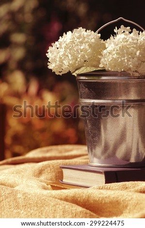 Flowers of a white hydrangea in a metal bucket with books on linen fabric. Still life with books and flowers in a summer sunny day in vintage tones