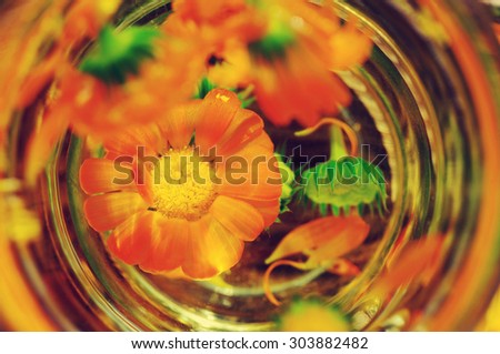 Herbal tea from flowers of a marigold in a transparent glass mug. Medicinal flowers of a calendula. Top view.