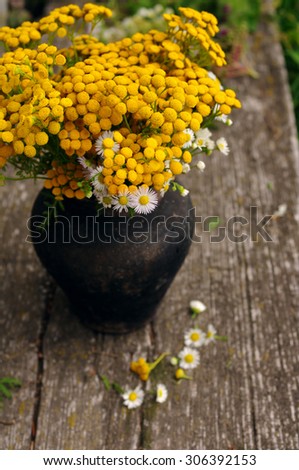 Summer flowers in an old pot on a wooden old background. Medicinal flowers of a tansy. Beautiful flower background with yellow flowers in vintage style