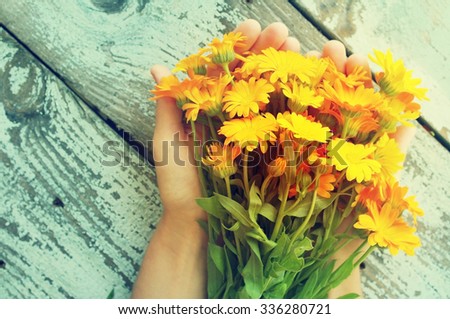 Bouquet of yellow summer flowers in female hands against a wooden surface. Bouquet from a marigold. Calendula flowers. Festive bouquet