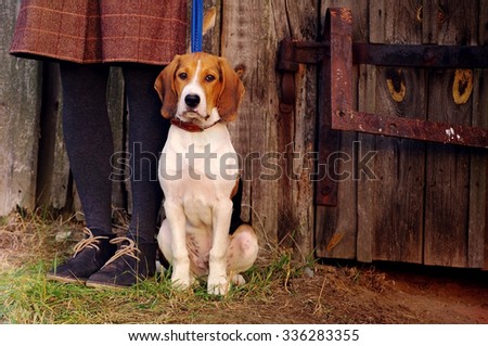 Girl with a dog against an old wooden door. Puppy of Estonian hound sits at the girl\'s feet in autumn day.