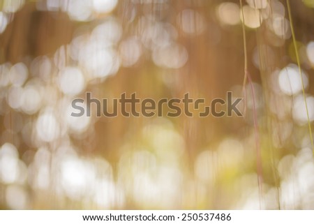 Abstract blur background, blur background,blur, light bokeh